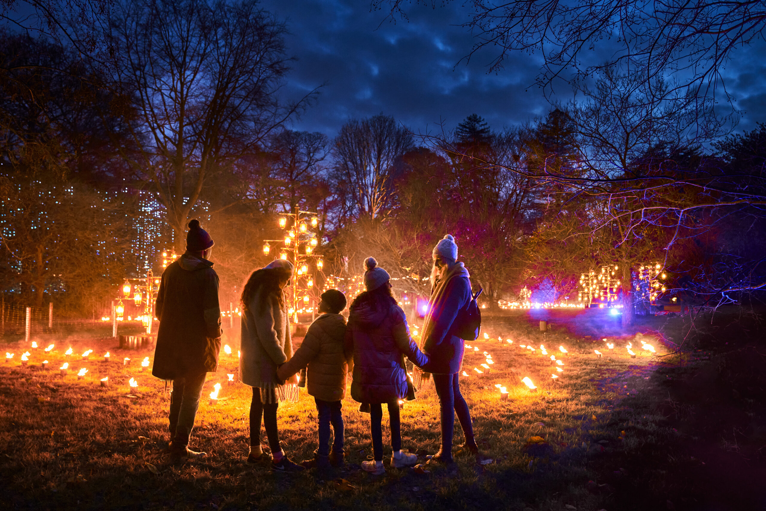 Christmas at Dunham Massey