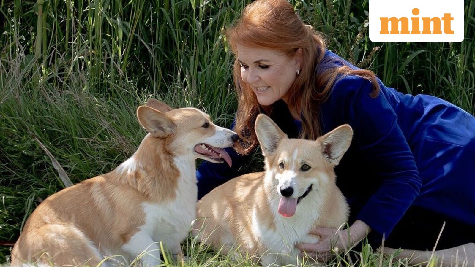Andrew's ex-wife Sarah Ferguson with Queen Elizabeth's two corgis - Sandy and Muick.