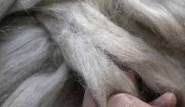 The European Union pledges to fast-track the uptake of bio-based materials