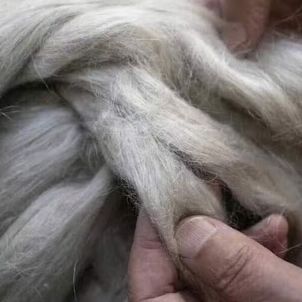 The European Union pledges to fast-track the uptake of bio-based materials