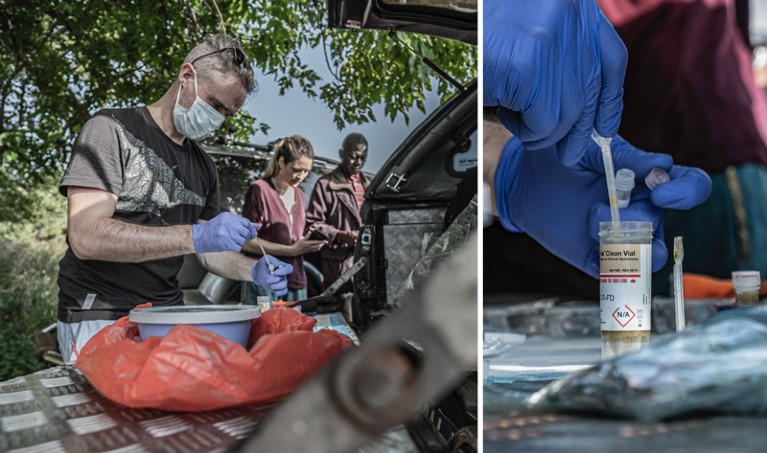A composite of two photographs of Mathieu Groussin working out of the boot of a car processing stool samples in plastic specimen tubes, and a close up of a sample tube with a pipette inserted into the topbeing processed