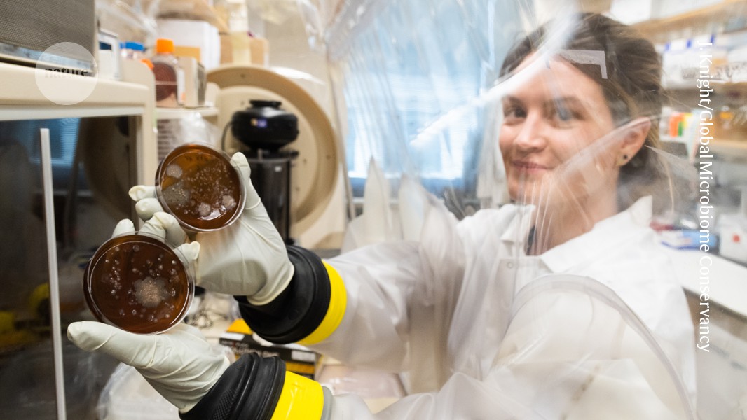 how researchers harness pee and poo for science