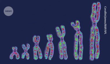 vast genetic diversity found between cells in a single person