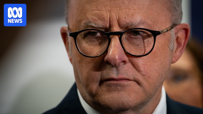 A letter to Anthony Albanese could allow Labor MPs to speak up on gambling reform