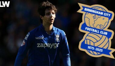 Birmingham City rolled £1.5m dice on Watford, Diego Fabbrini transfer