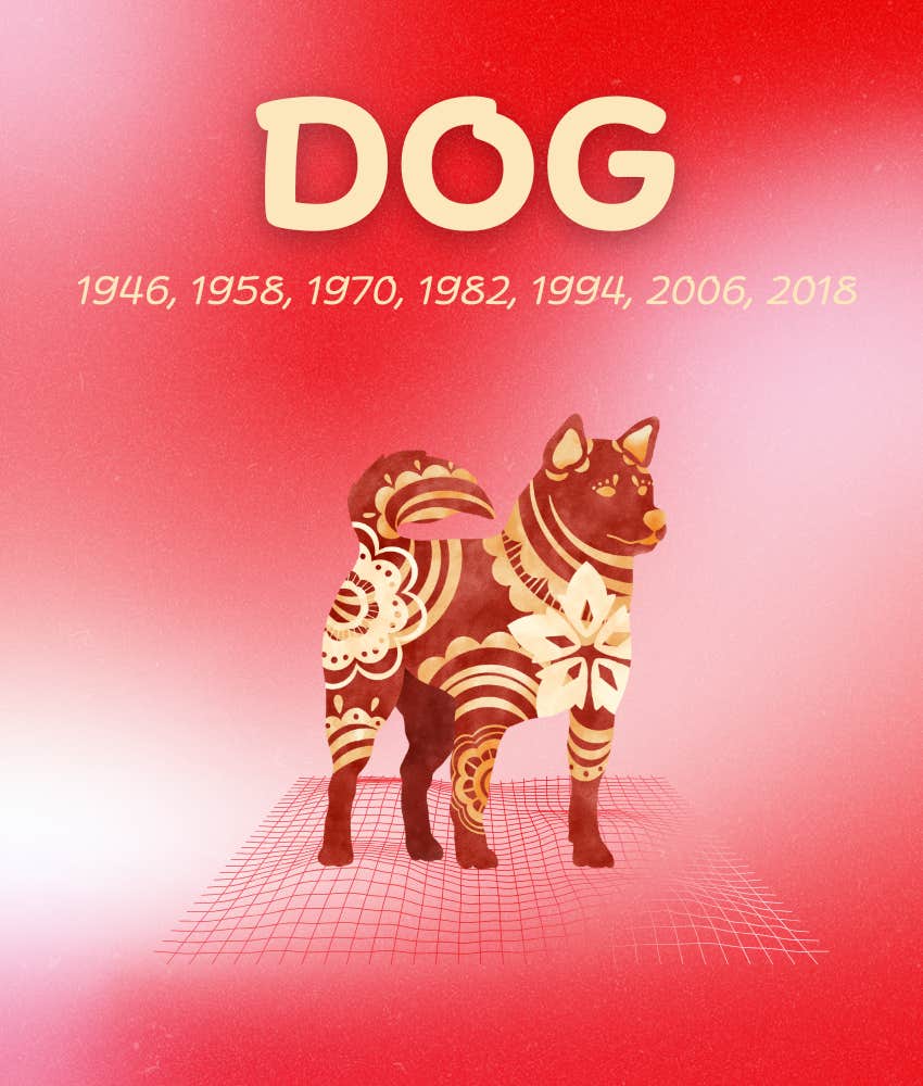 dog chinese zodiac signs luckiest december 2025