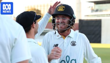 Corey Rocchiccioli stars as WA beats Queensland in one-wicket Sheffield Shield thriller