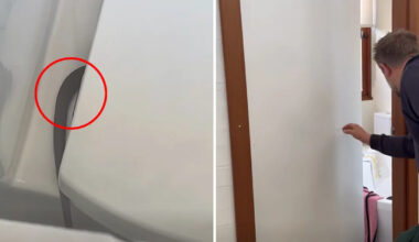 Aussie family's 'clever' move after 'rare' encounter with deadly intruder