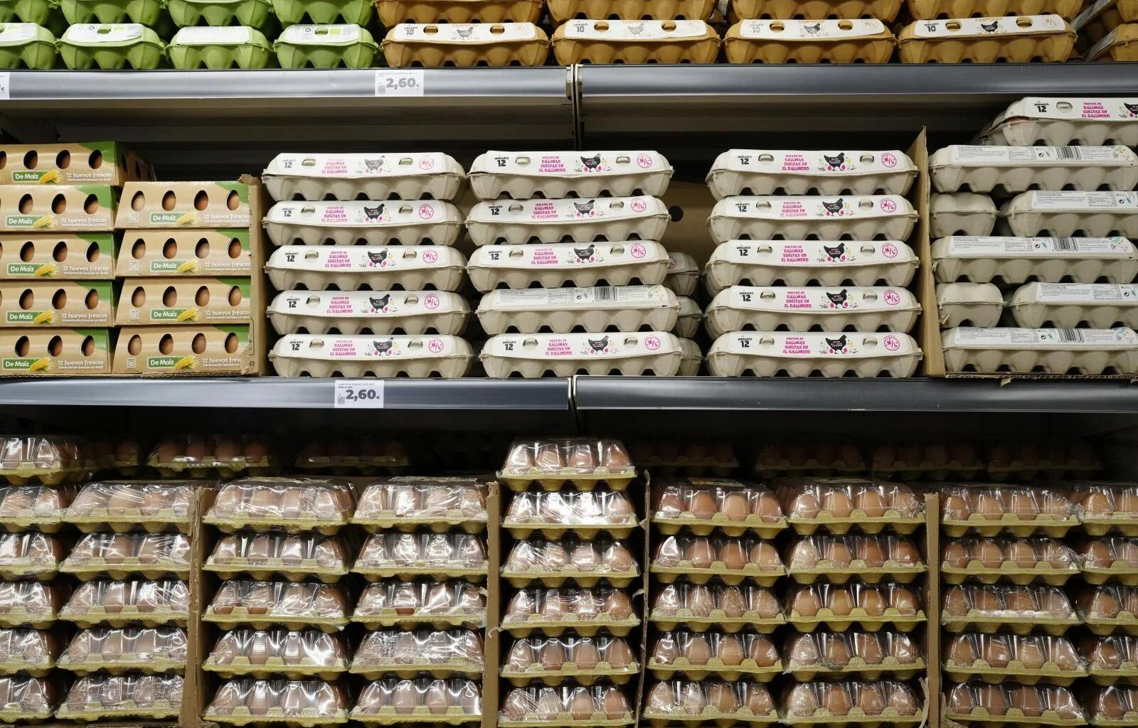 Price of eggs soars by 31% as bird flu crisis worsens in Spain
