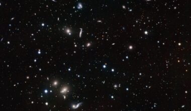 The decline and fall of stars in the Universe