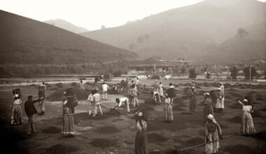 Sepia-toned photo of people labouring on a plantation with baskets and tools, set against a backdrop of hills and buildings.