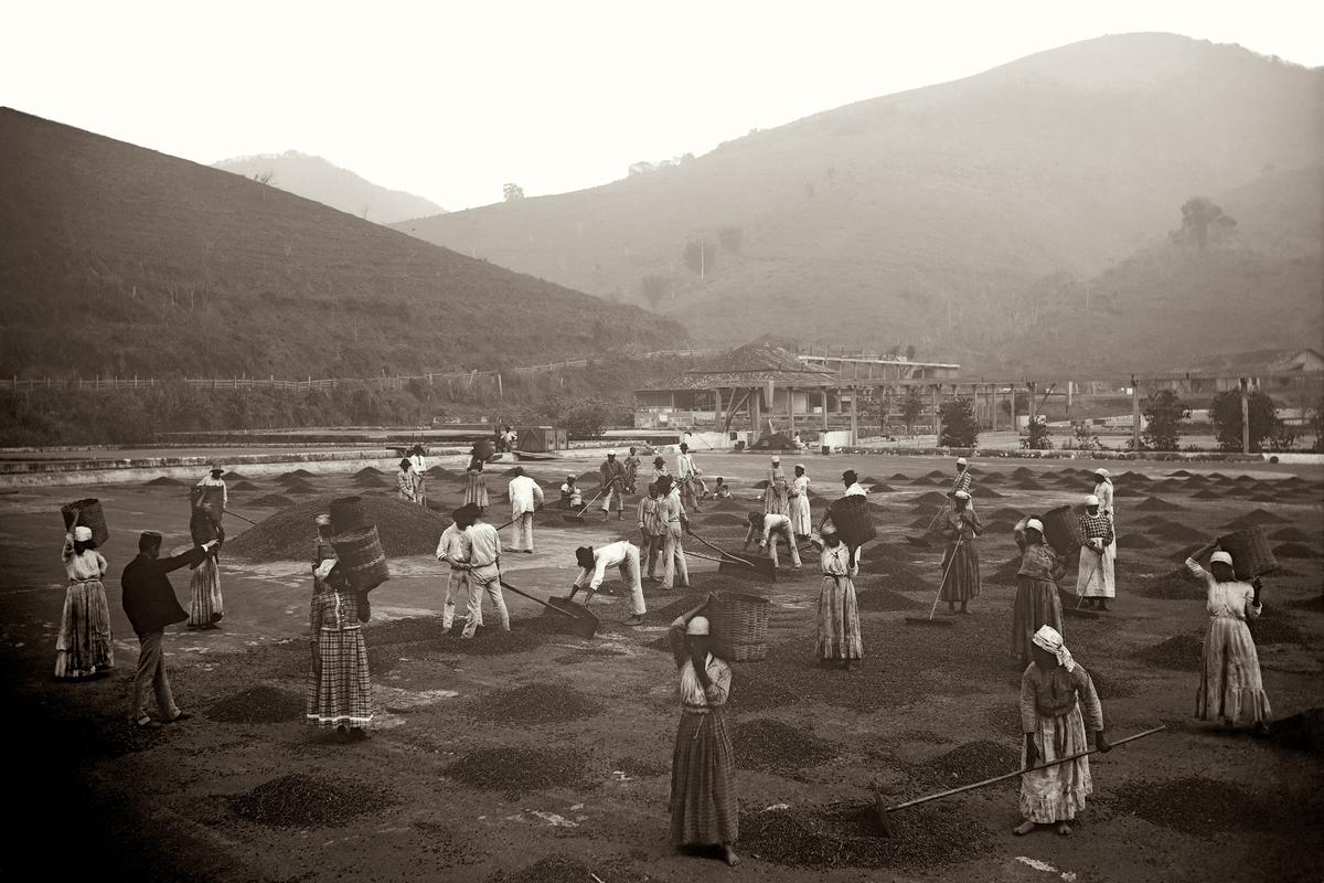 Sepia-toned photo of people labouring on a plantation with baskets and tools, set against a backdrop of hills and buildings.