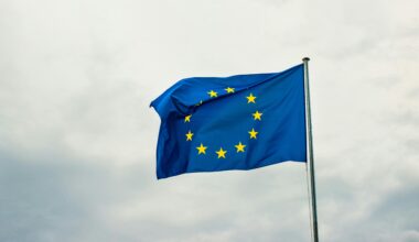 The European Artificial Intelligence Regulation