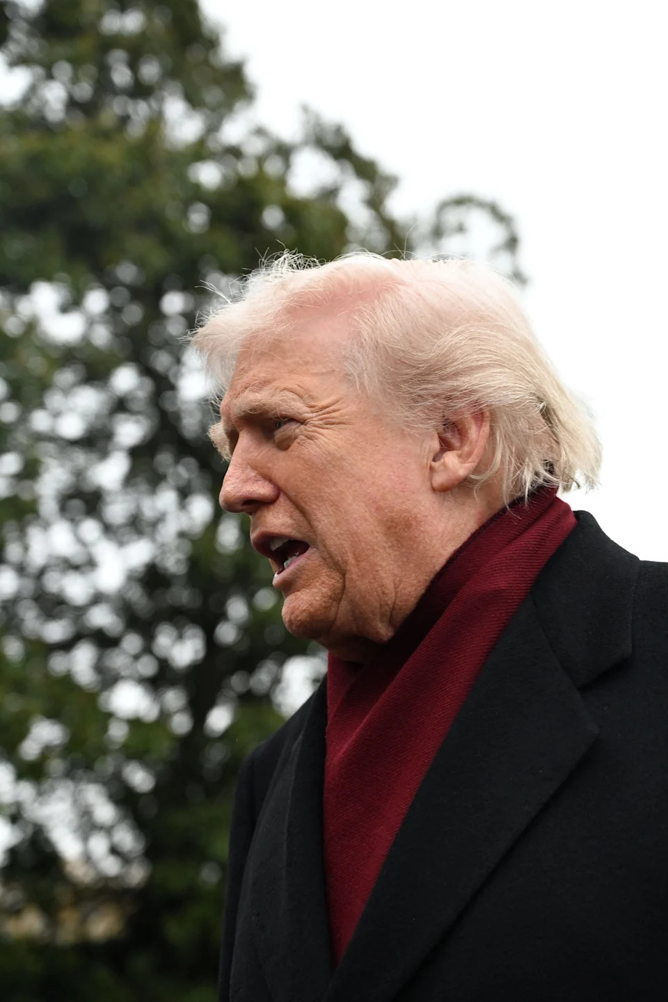 Donald Trump speaks to the press on the White House South Lawn on Nov. 22, 2025.