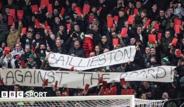 Celtic fans hold up red cards as part of their protest against the board
