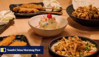 Japan’s budget restaurants, survivors of ‘lost decades’, find fans in China