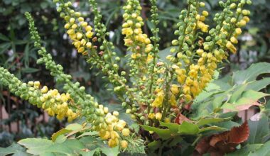 From invasive species tracking to water security – what’s lost with federal funding cuts at US Climate Adaptation Science Centers