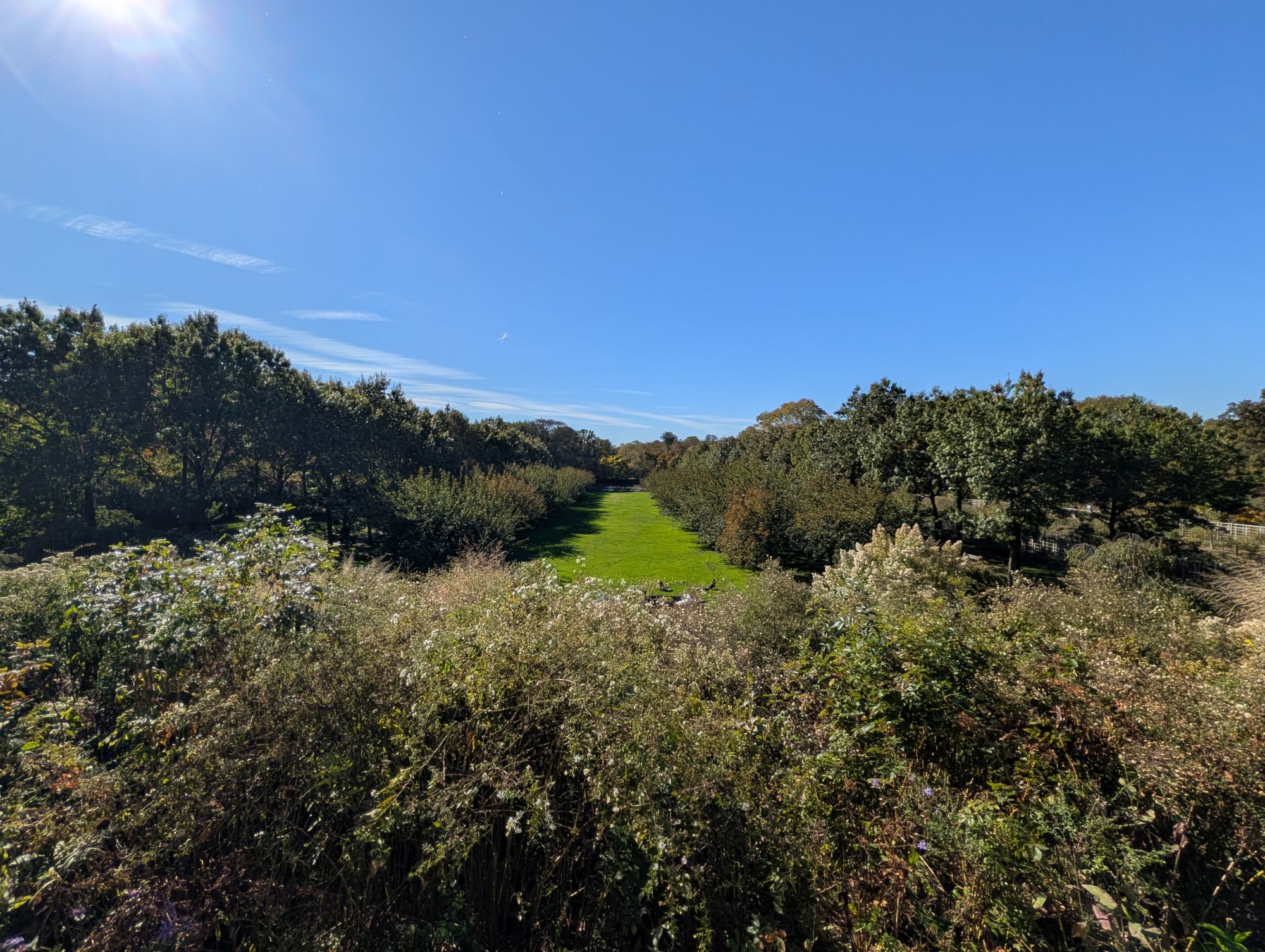 Google Pixel 10 Pro XL ultrawide sample.