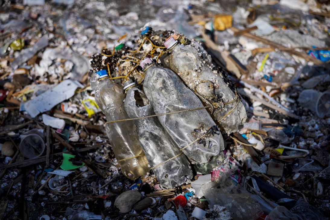 Plastic pollution and sea shells on the shore of Freedom Island in Manila, Philippines.