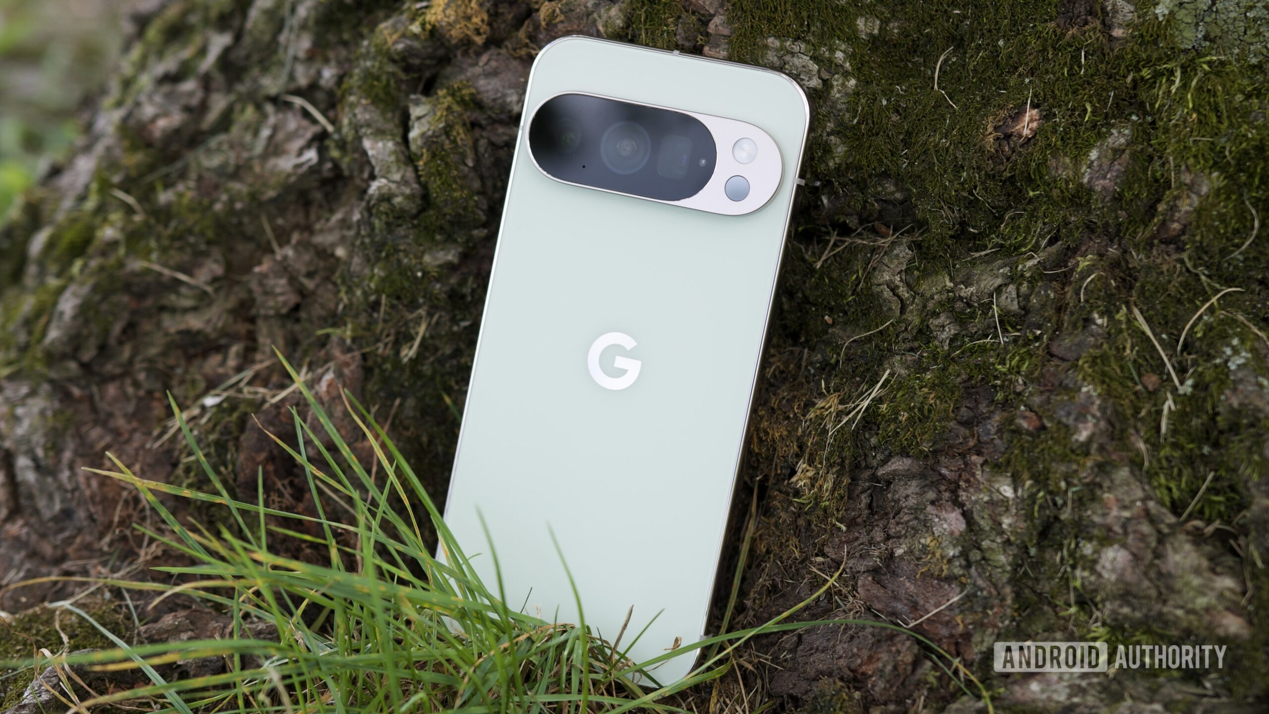 The Google Pixel 10 Pro in Jade, resting against a tree.