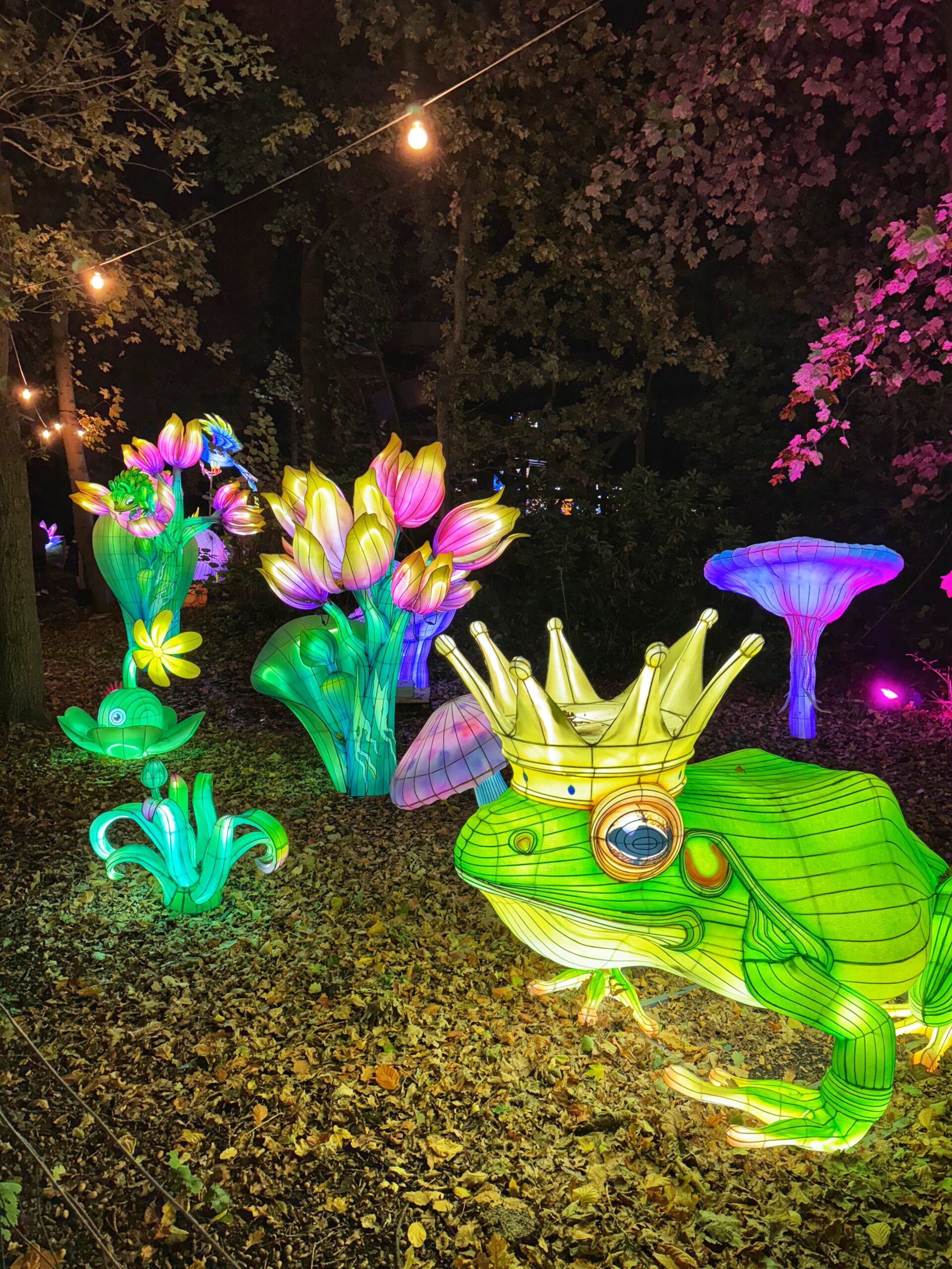 Land of Lights is back at Gulliver's World for 2025