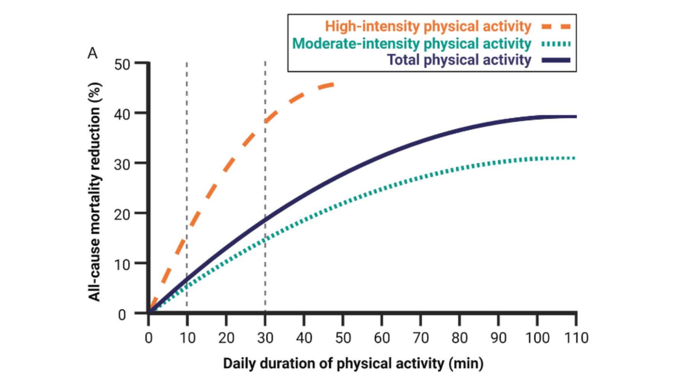High-intensity exercise extends lifespan more effectively than moderate-intensity exercise.