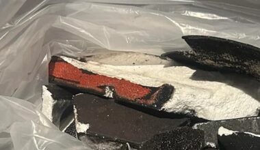 A man vacationing in the Turks and Caicos Islands recently stumbled upon what he says are fragments from SpaceX's Starship 7.