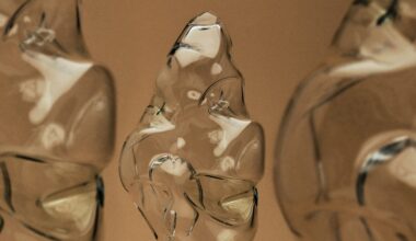 Herzog & de Meuron trophies