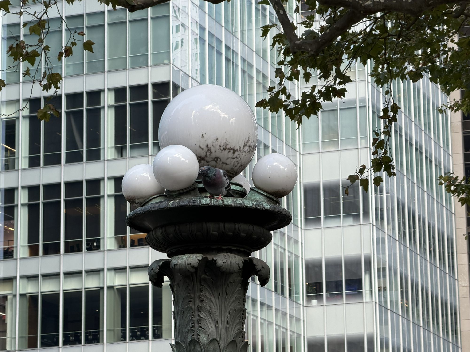 Apple iPhone 17 Pro Max zoom sample.