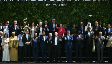 Brazil cut down 100,000 Amazon trees for a climate conference