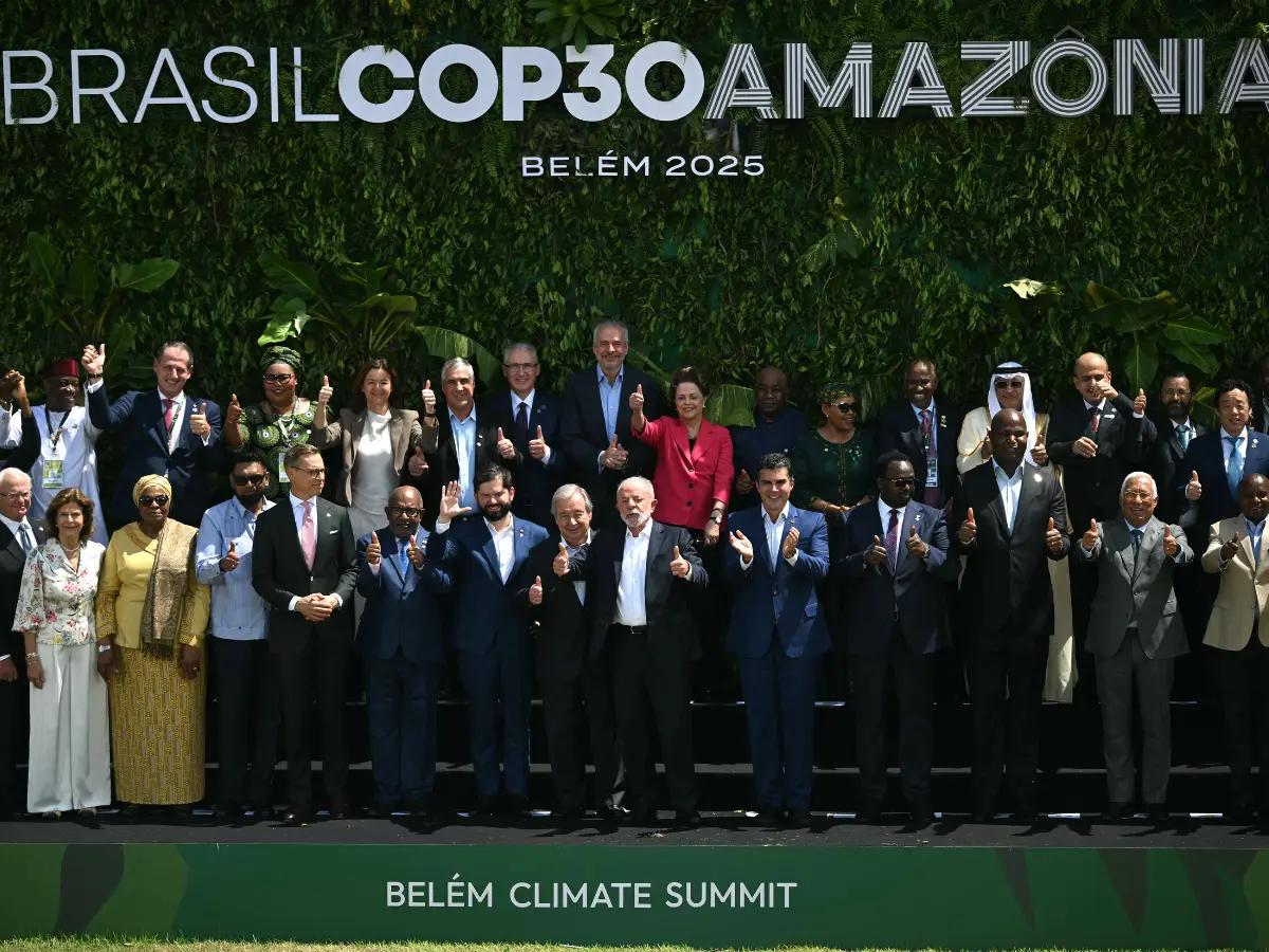 Brazil cut down 100,000 Amazon trees for a climate conference