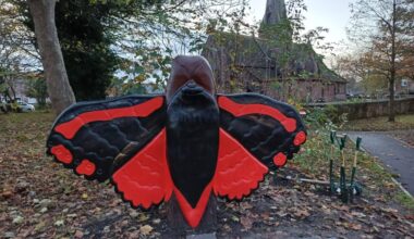 A new woodland play trail has launched in Speke