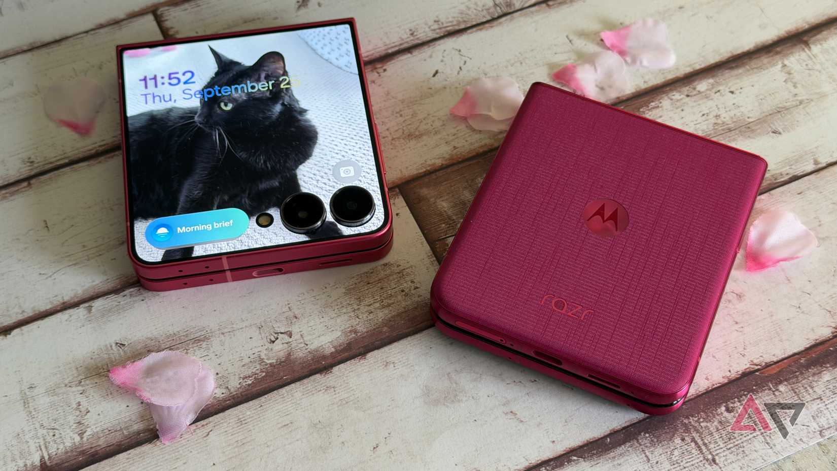 Samsung Galaxy Z Flip 7 sitting next to a Motorola Razr Ultra