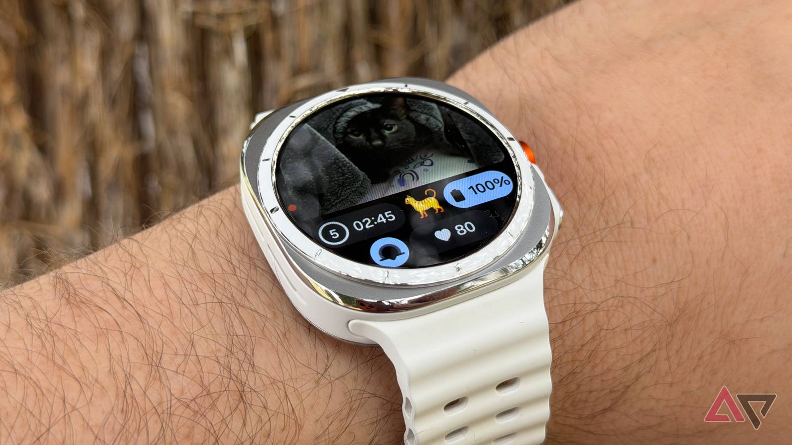 Don't skip the One UI 8 update on your Galaxy Watch Ultra — here's why