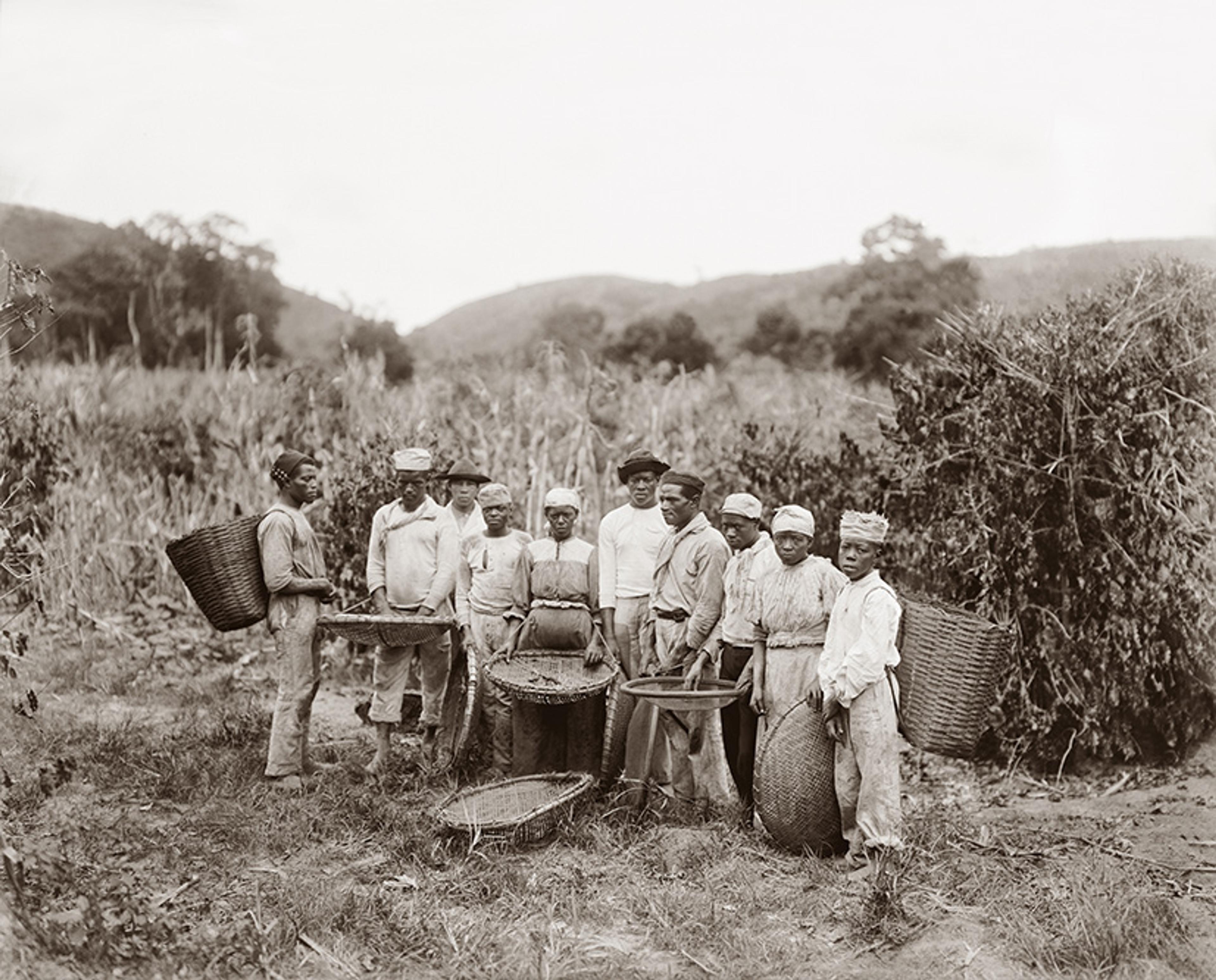 Black and white photo of a group of field workers with baskets standing in a field with hills in the background.