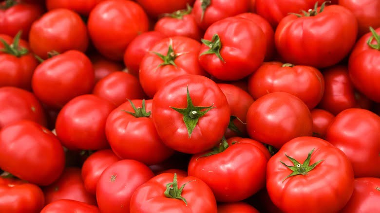 Spanish federation claims the agreement is highly detrimental to EU tomato producers • EastFruit