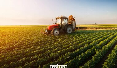 Morocco, Spain Explore Deepening Collaboration in Agriculture