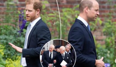 Prince Harry could eventually lose his title like Andrew: source
