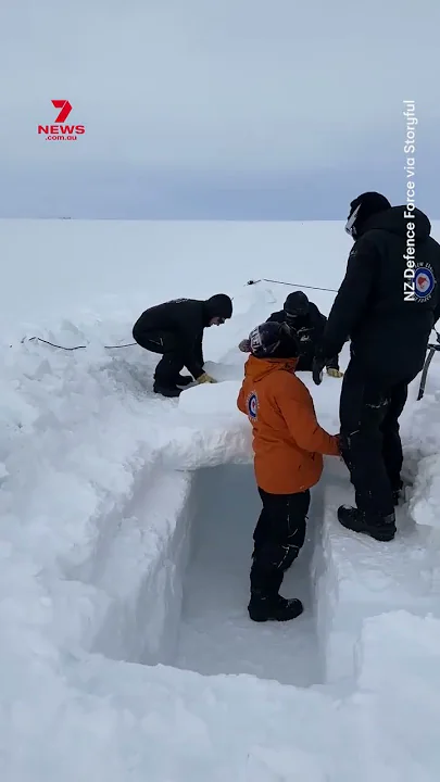 Emperor penguins interrupt Royal New Zealand Air Force training session in Antarctica - YouTube