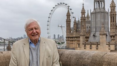 A man in a light blazer, grey jumper and blue shirt smiles as he poses on a stone balcony overlooking the Houses of Parliament at Westminster and the London Eye