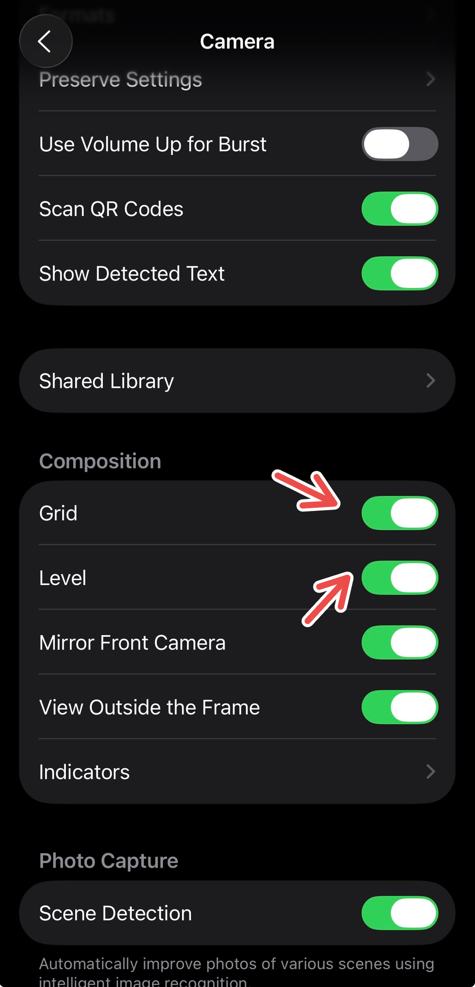 Grid and Level settings for Camera on iPhone.