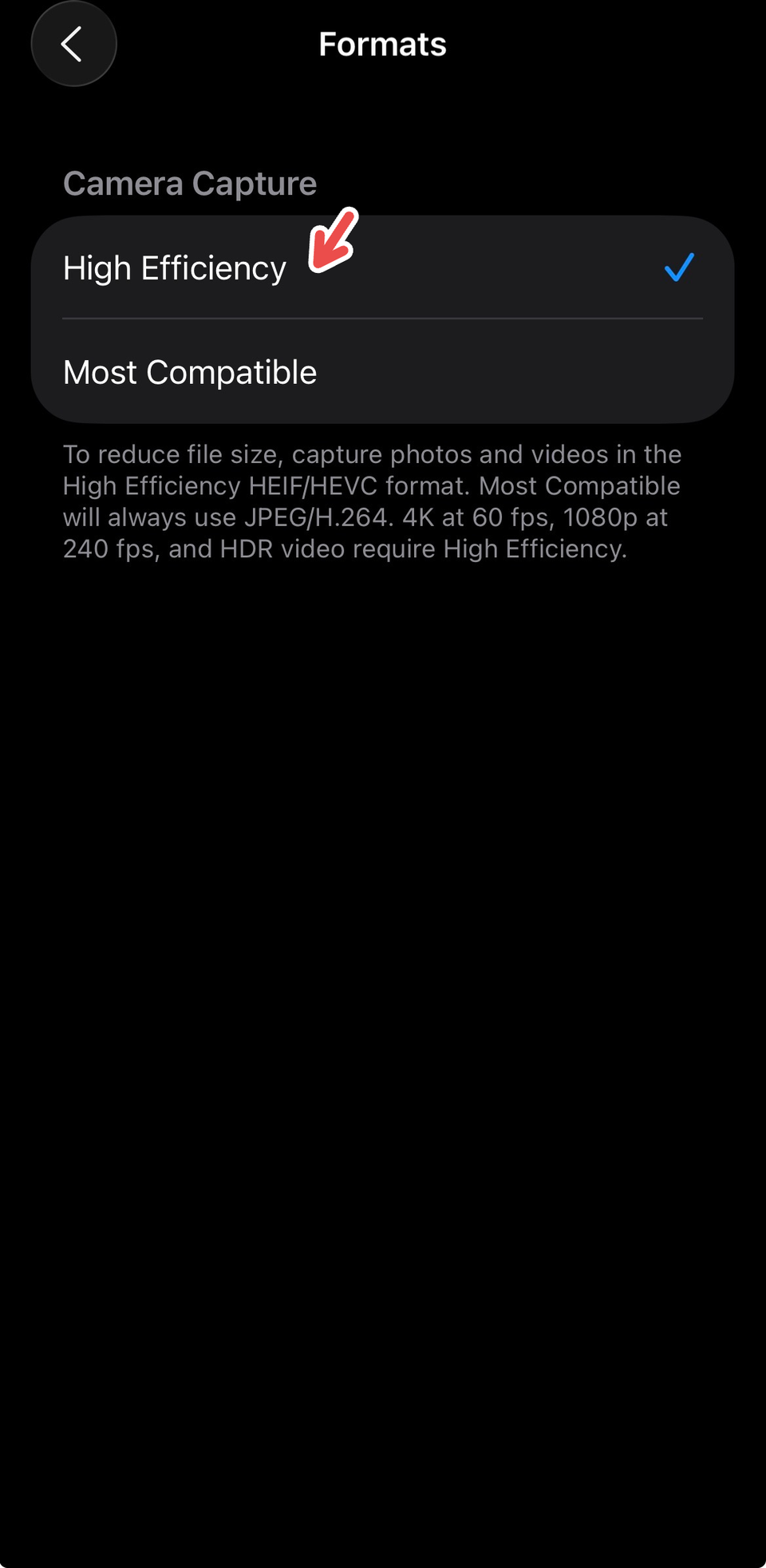 Enabling High Efficiency for iPhone's Camera.