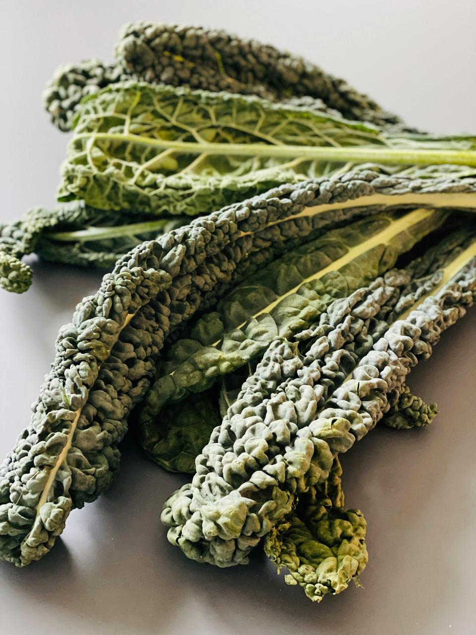 cavolo nero