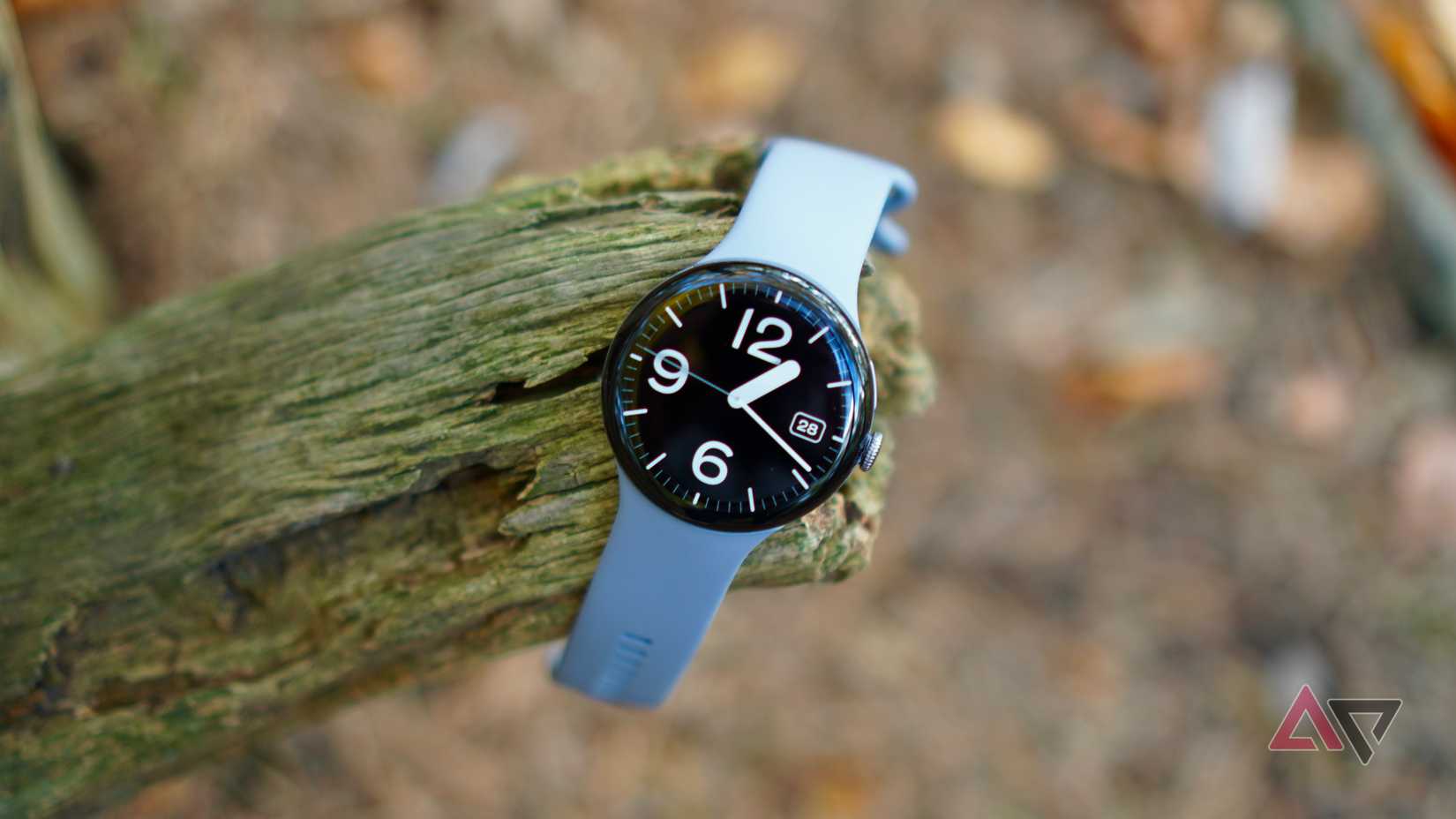 A Google Pixel Watch 4 against a treet branch