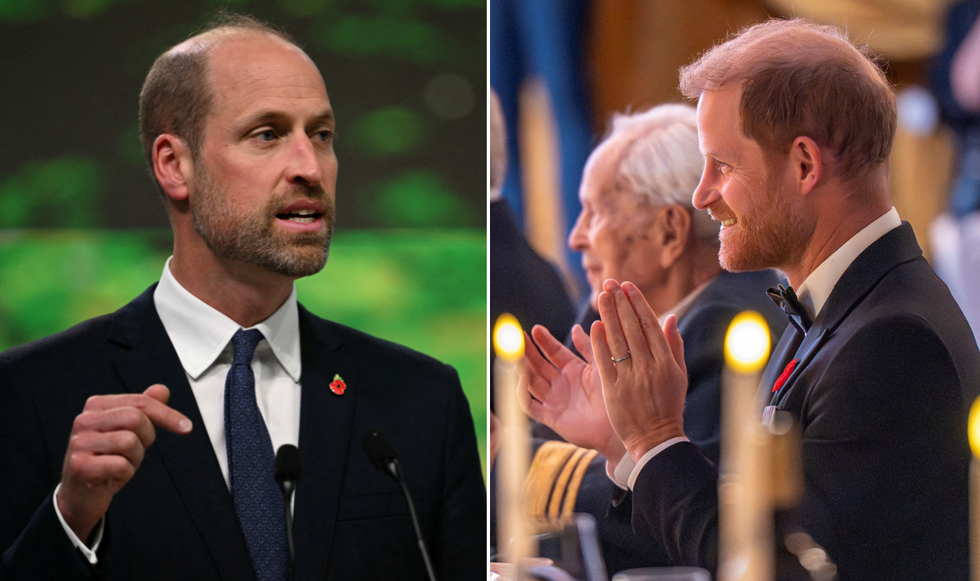 Prince Harry and Prince William