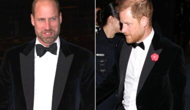 Prince William and Prince Harry Share a Rare Matching Style Moment