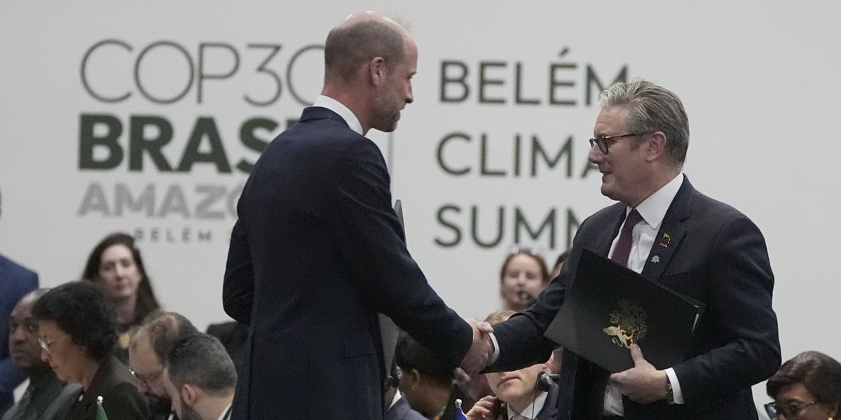 Prince William rains praise on Brazilian climate fund despite Britain not providing support