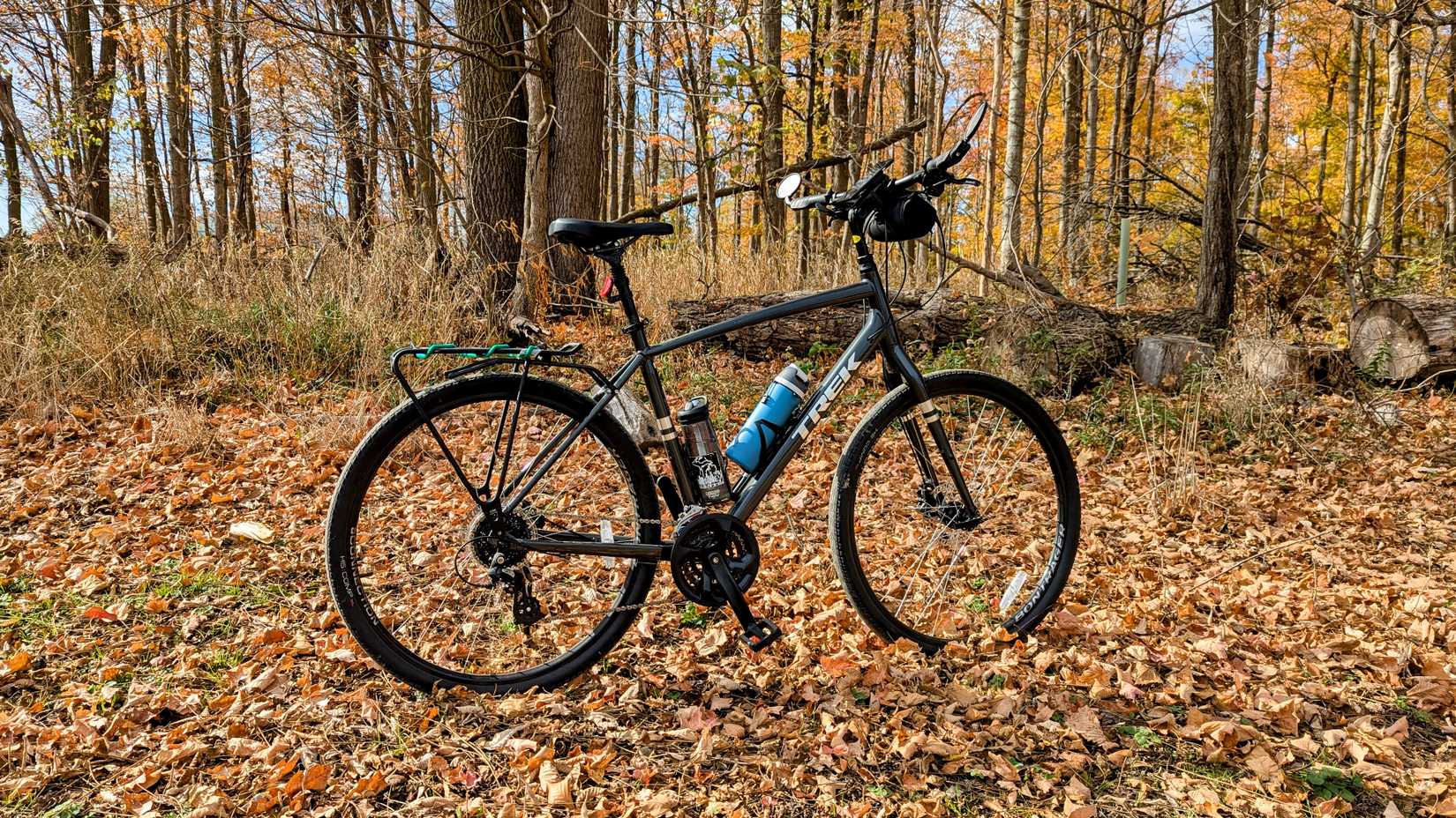 A Trek bike in the woods.