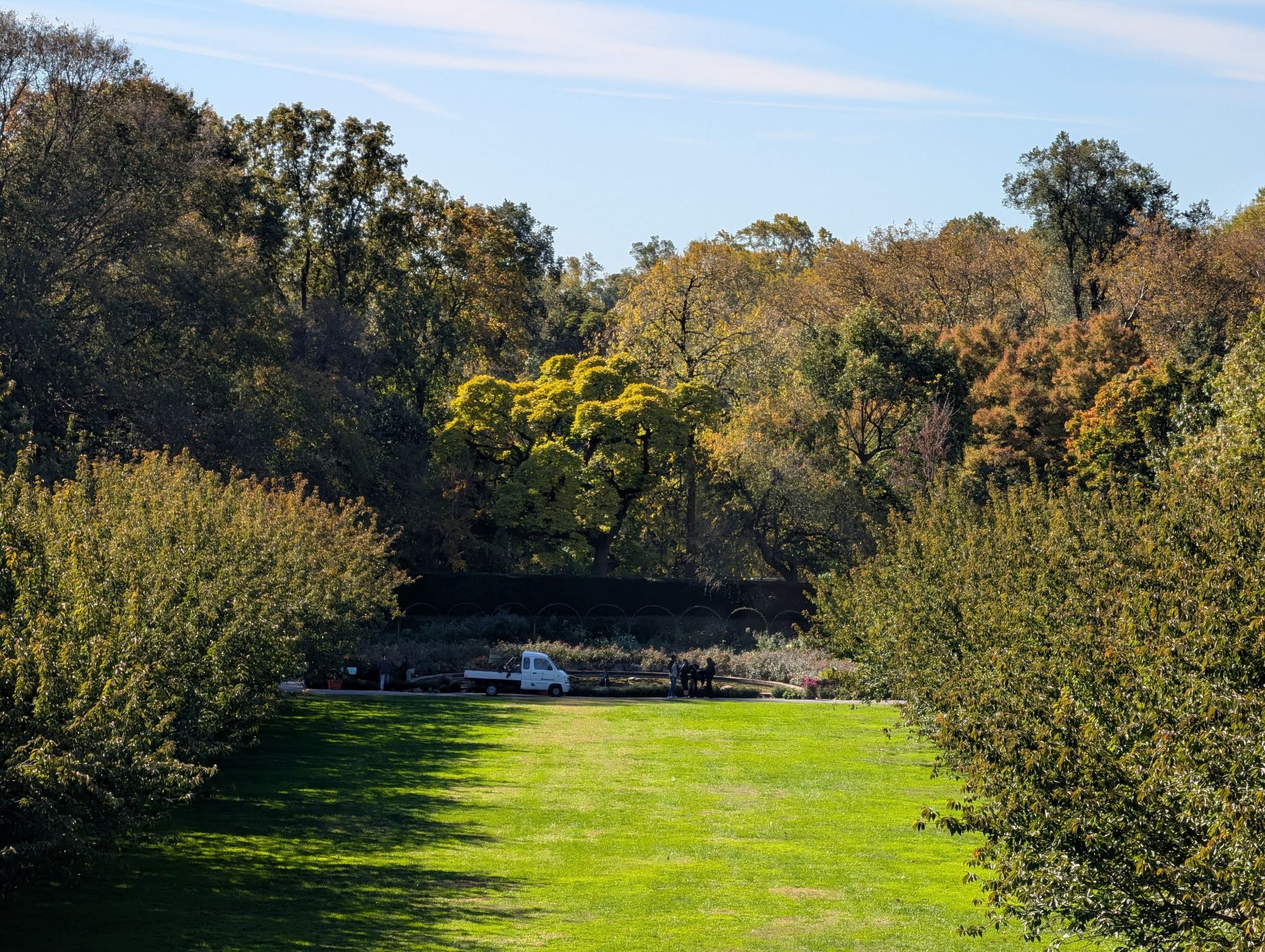 Google Pixel 10 Pro XL zoom sample.