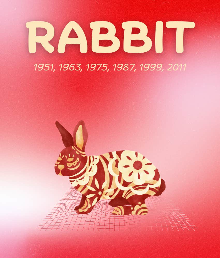 rabbit chinese zodiac signs luckiest december 2025